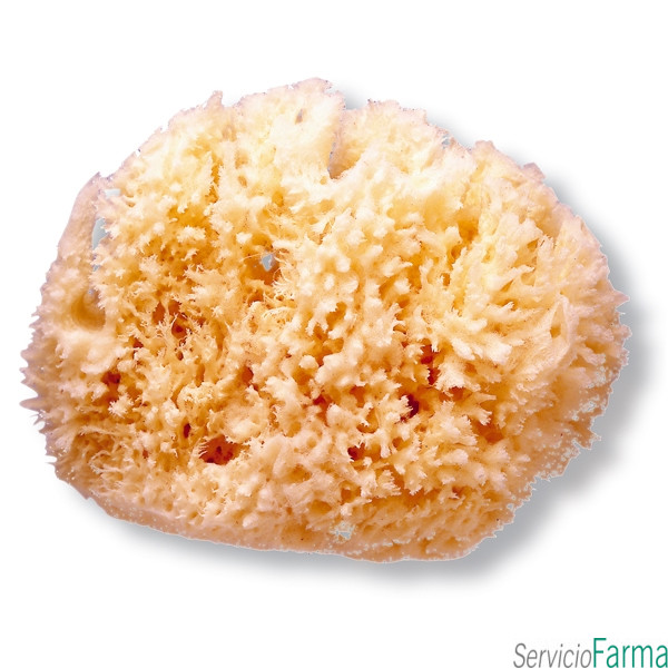 Suavinex Esponja Natural