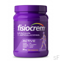 Fisiocrem Active Músculos y Articulaciones 540 g