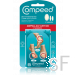 comprar Compeed / Ampollas Surtido (5 apósitos surtidos)